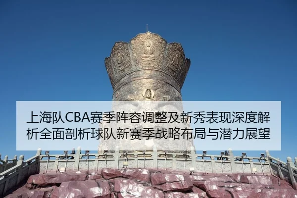 上海队CBA赛季阵容调整及新秀表现深度解析全面剖析球队新赛季战略布局与潜力展望